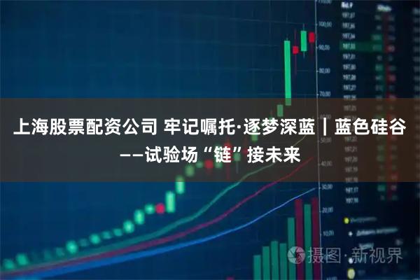 上海股票配资公司 牢记嘱托·逐梦深蓝｜蓝色硅谷——试验场“链”接未来