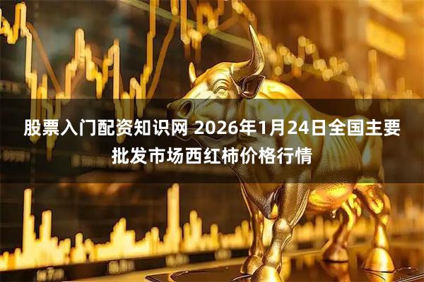 股票入门配资知识网 2026年1月24日全国主要批发市场西红柿价格行情